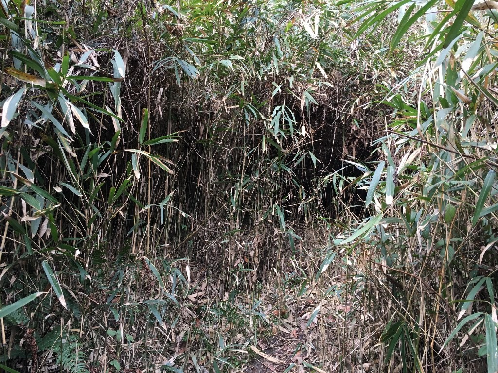 孔舎衛坂 (17)