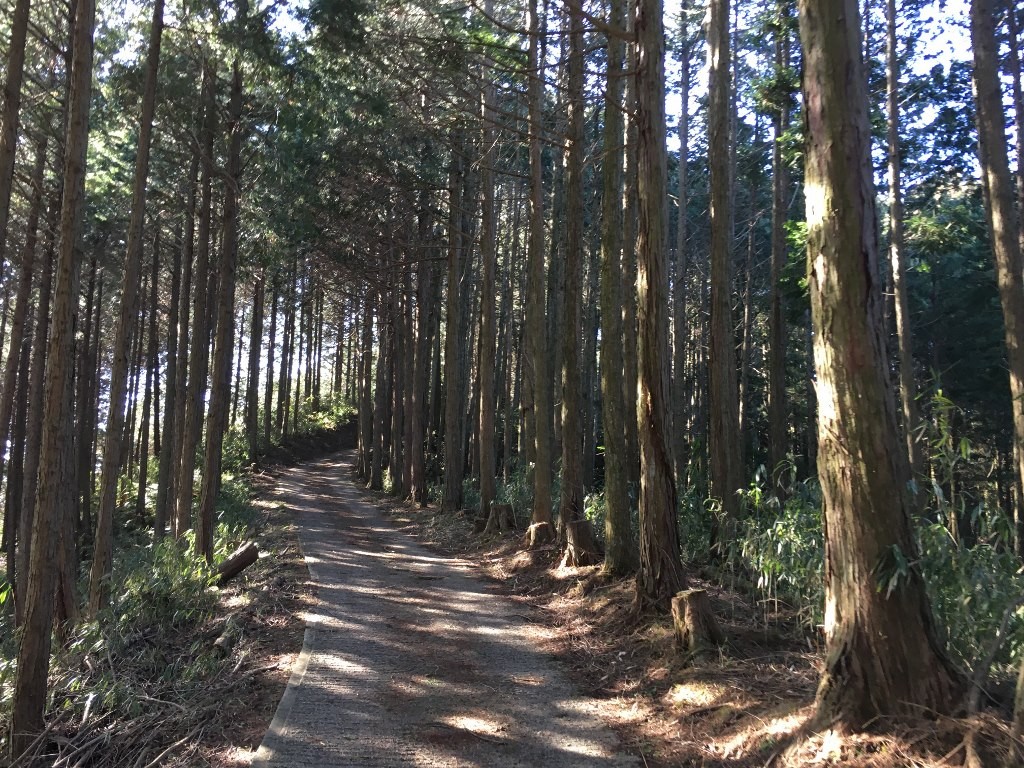 高倉山 神武東征 (23)