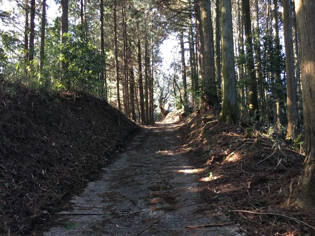 高倉山 神武東征 (24)