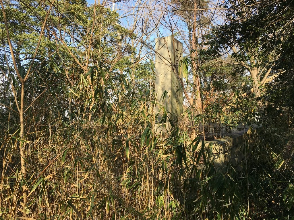 孔舎衛坂 (82)