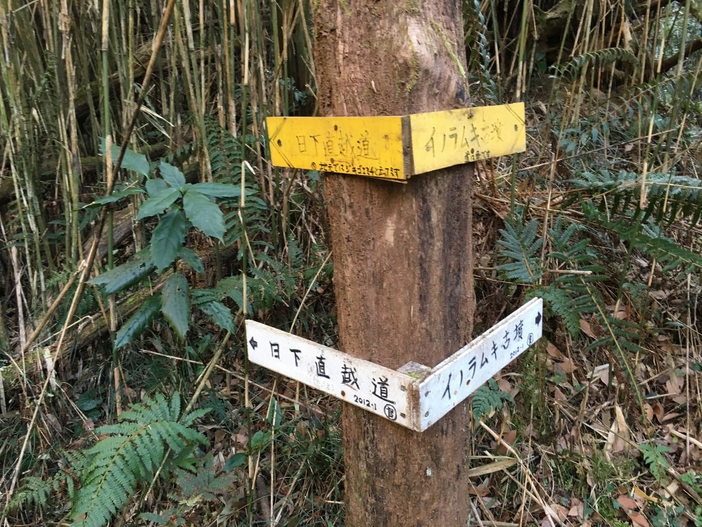 孔舎衛坂 (54)