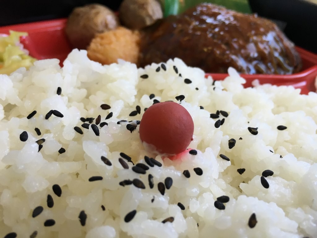 たいめいけん ハンバーグ弁当 羽田空港お弁当 (9)