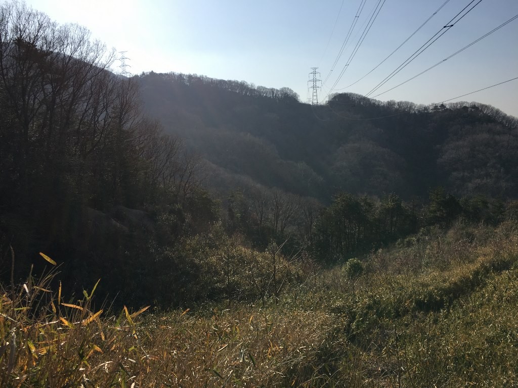 孔舎衛坂 (47)