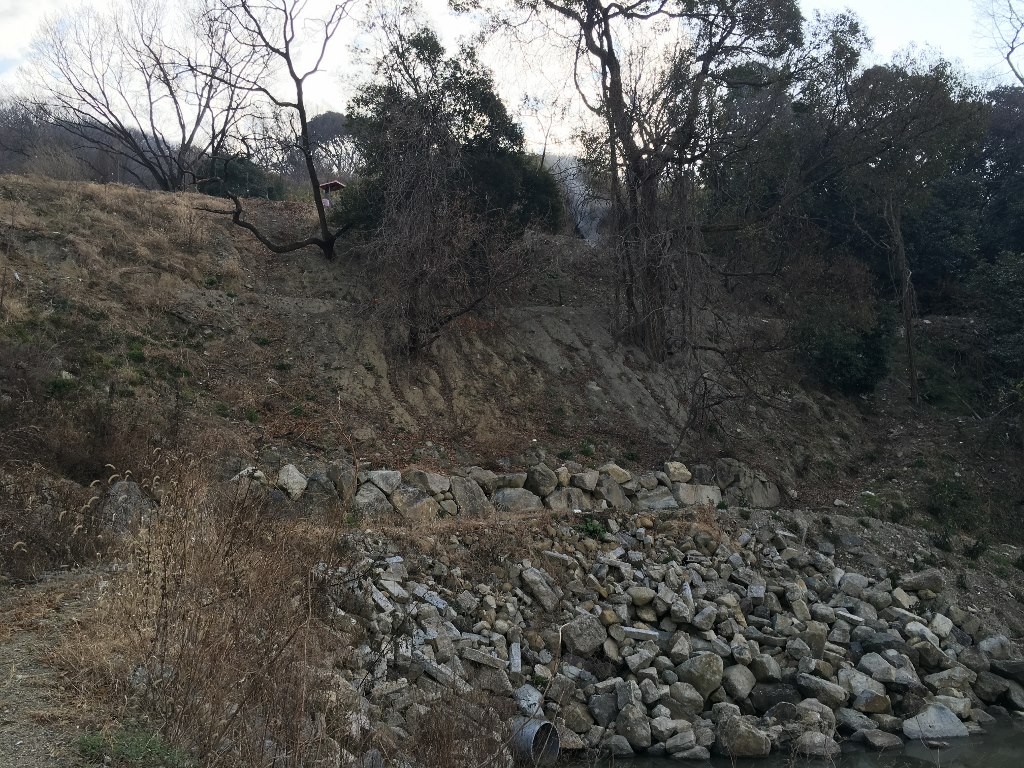 生駒山白肩の津 (4)