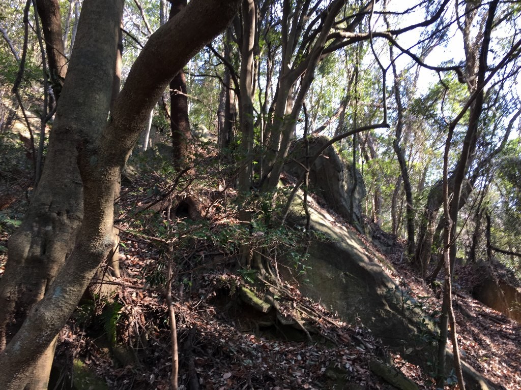 孔舎衛坂 (43)