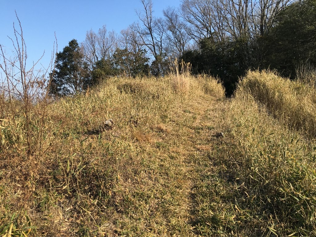 孔舎衛坂 (52)