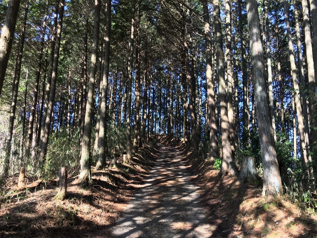 高倉山 神武東征 (18)