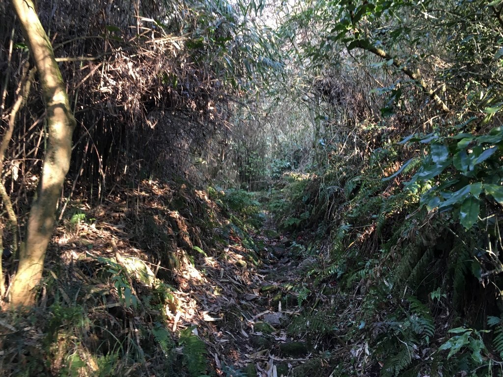 孔舎衛坂 (63)