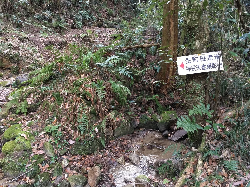 孔舎衛坂 (26)