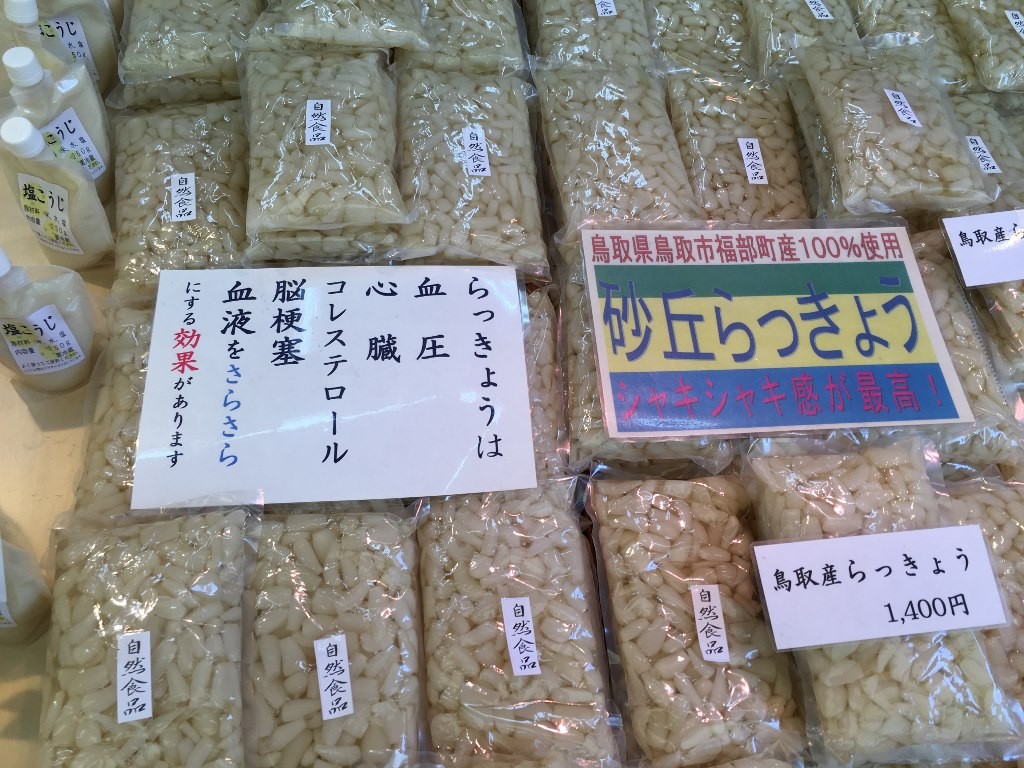 石切参道商店街 (35)