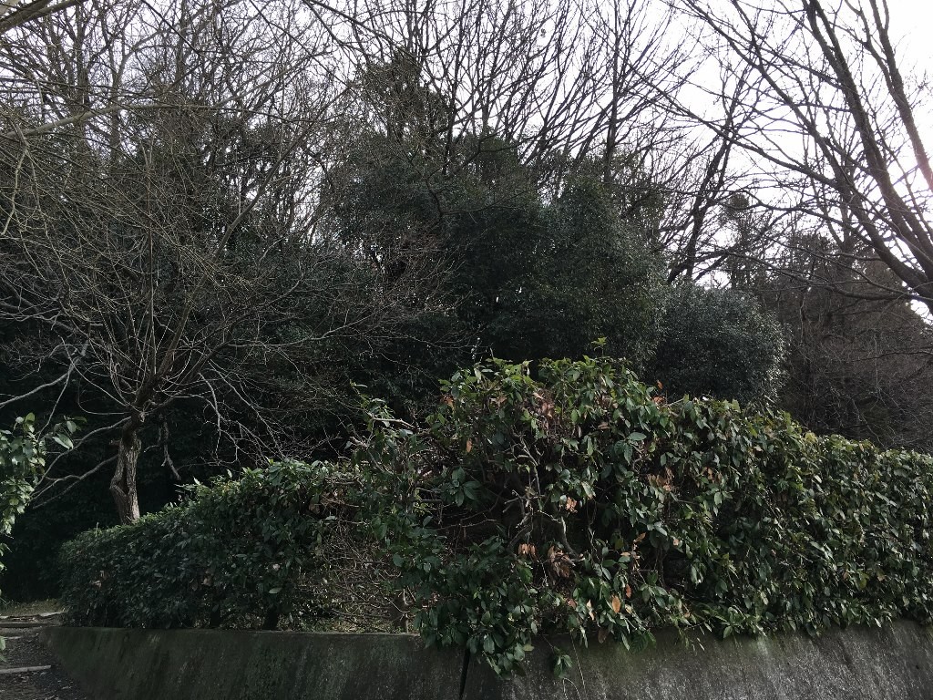 金鵄顕彰碑 (9)