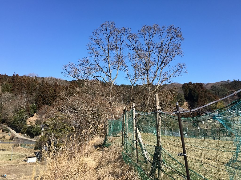 をどの 血原 (21)
