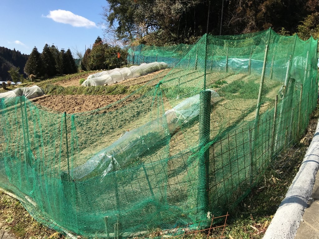 穿邑顕彰碑 (15)