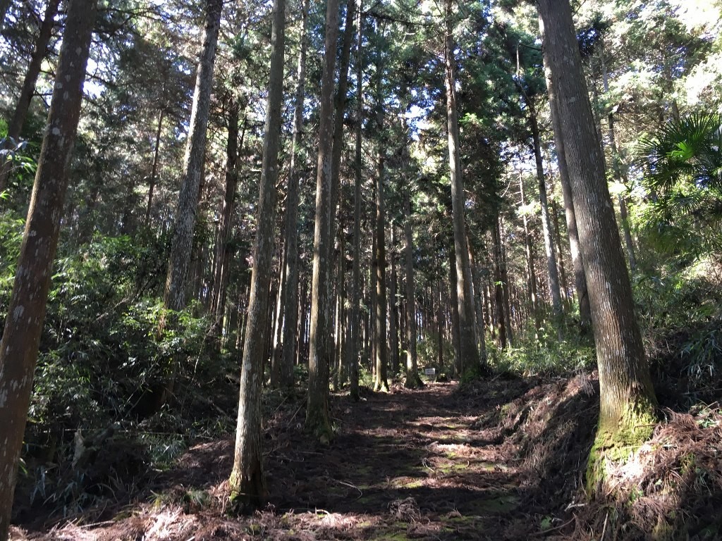 高城 神武東征 (10)