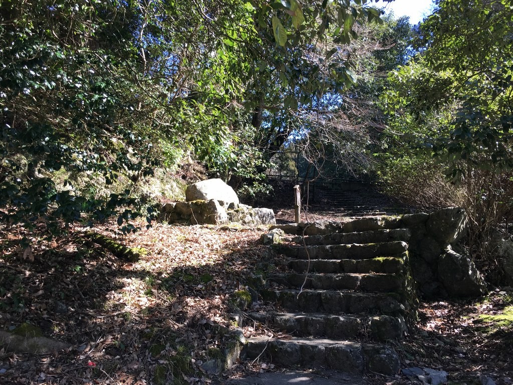 夢渕 (22)