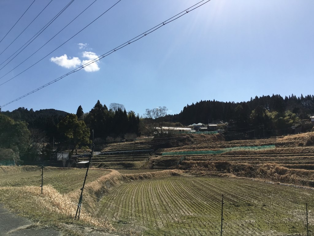 をどの 血原 (5)