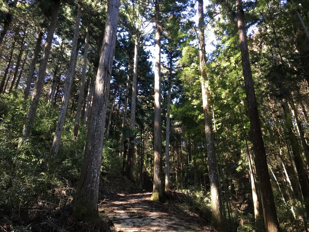 高城 神武東征 (8)
