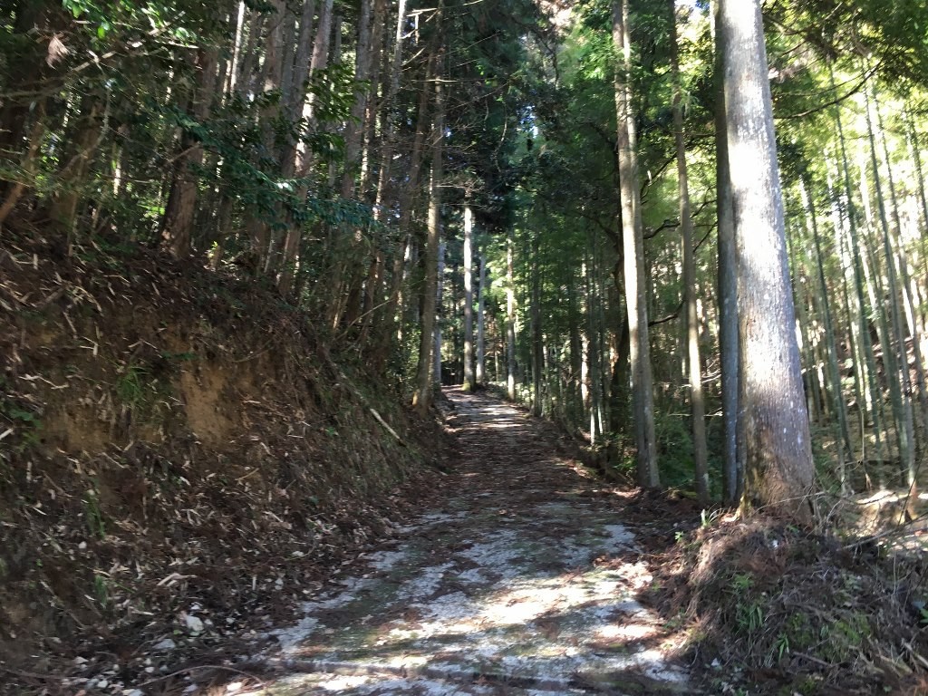 高城 神武東征 (7)
