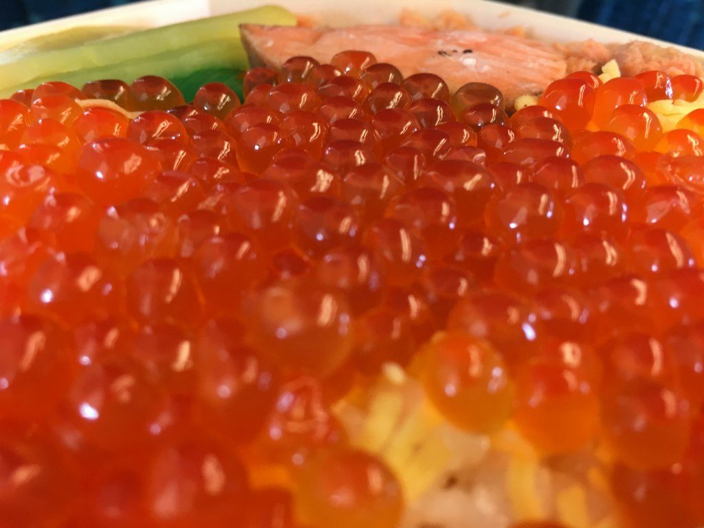 鮭はらこ弁当 (8)