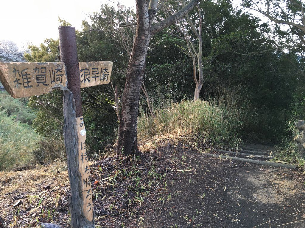 和歌浦 浪早崎 (16)