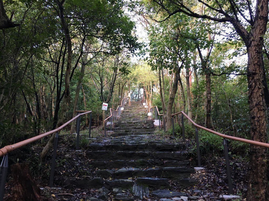 奠供山 (8)