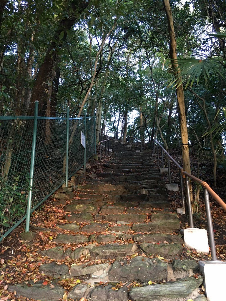 奠供山 (3)
