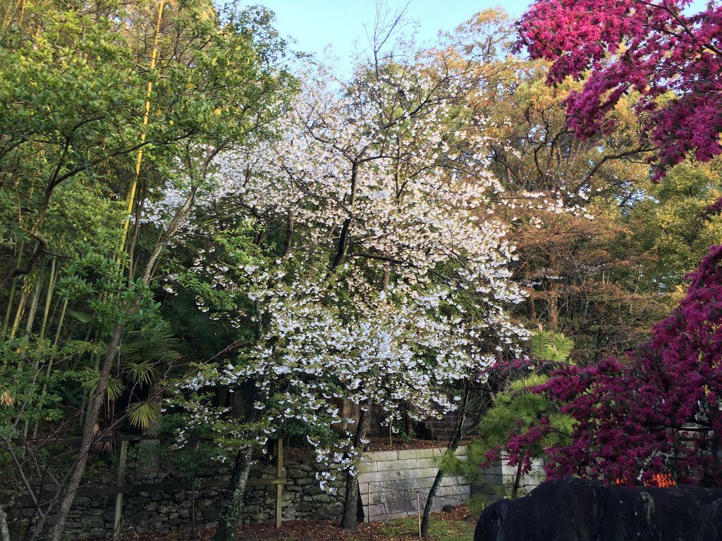 玉津島神社 (18)