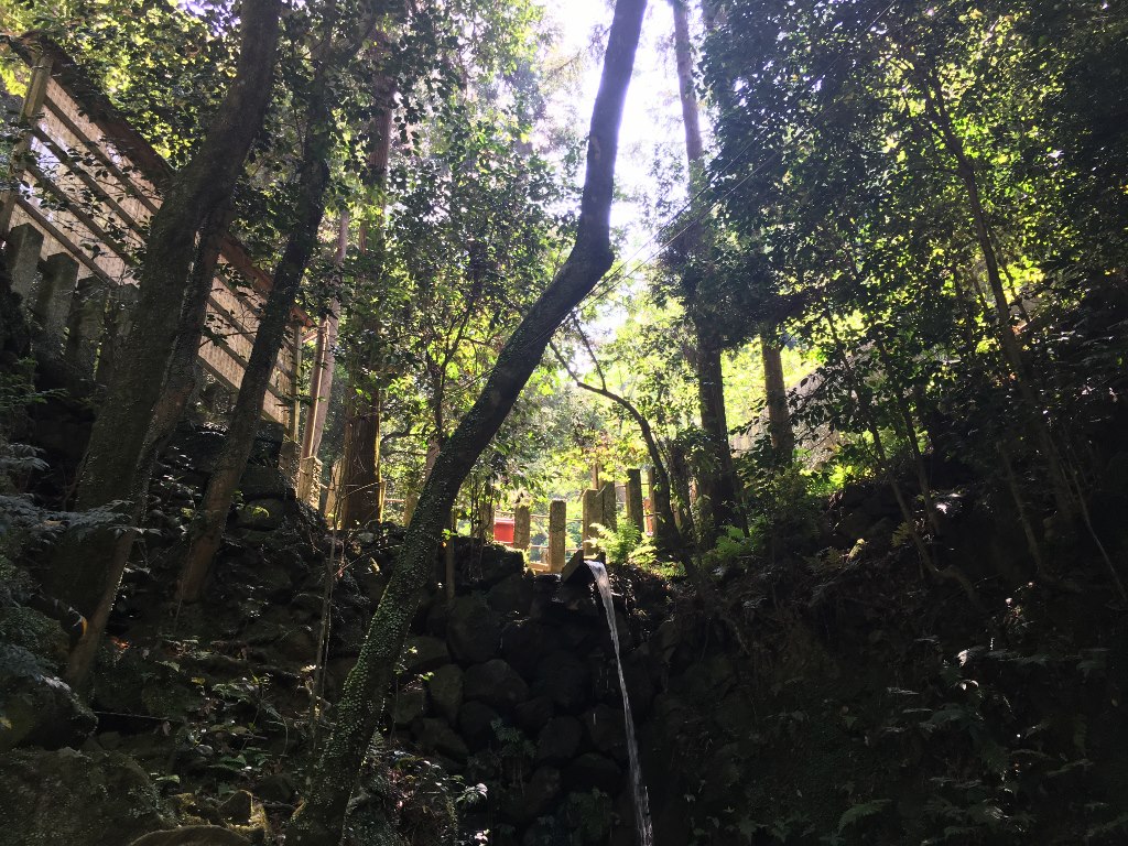 天照大神高座神社と岩戸神社 (138)