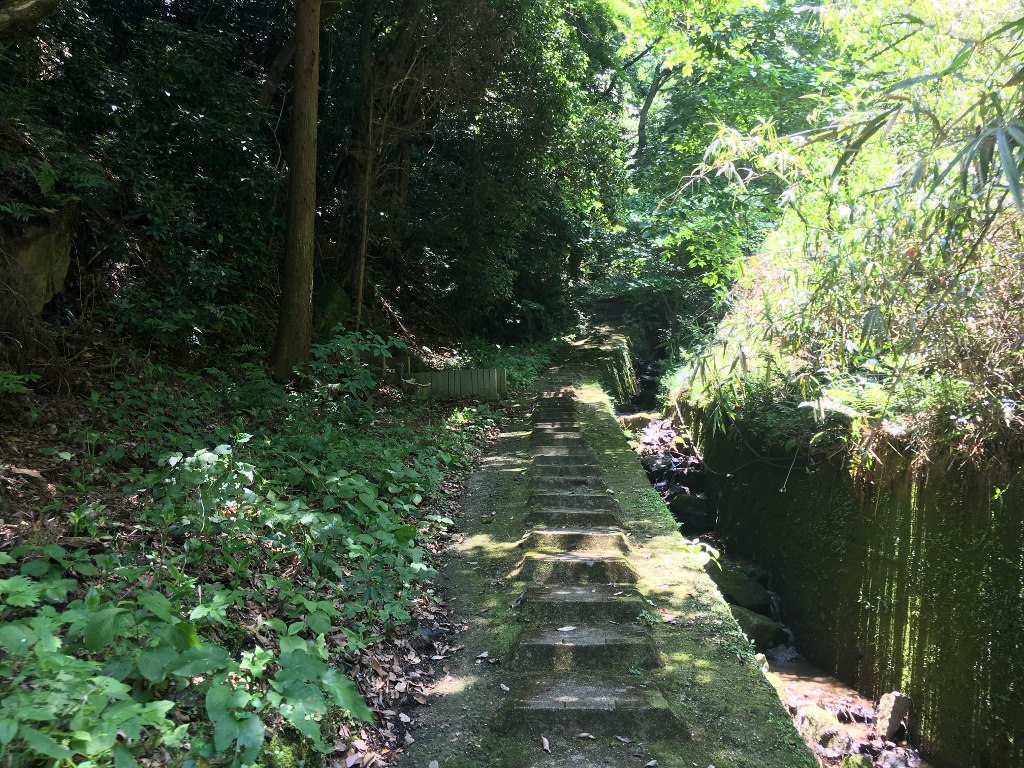 天照大神高座神社と岩戸神社 (88)