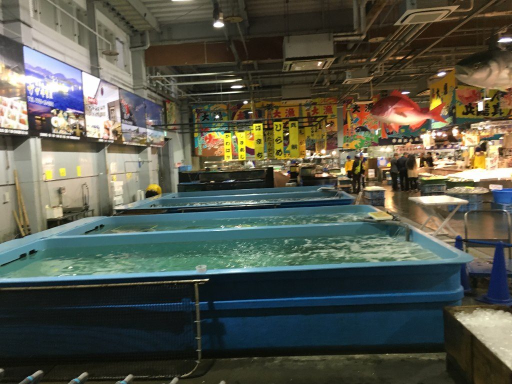 とれとれ市場 南紀白浜 (12)