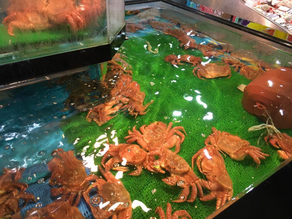 とれとれ市場 南紀白浜 (17)