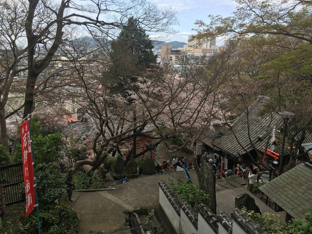 紀三井寺 (16)