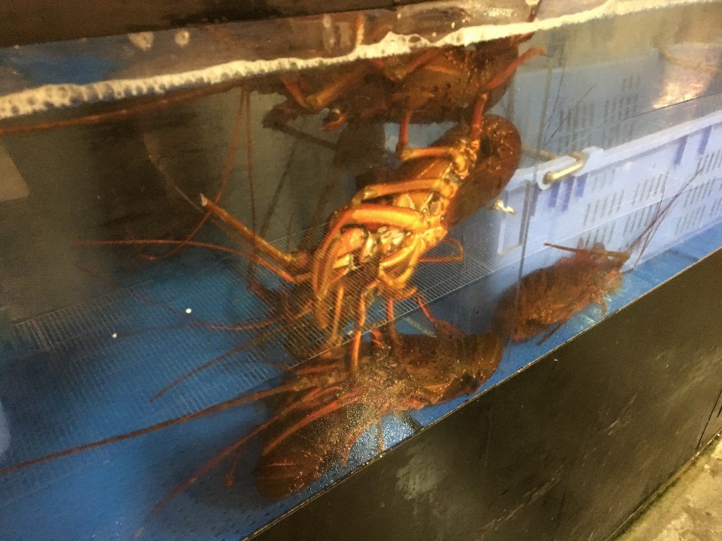 とれとれ市場 南紀白浜 (16)