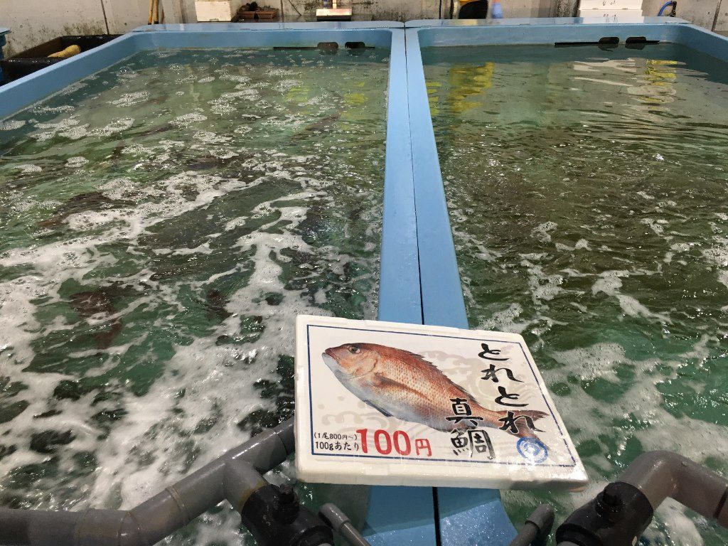 とれとれ市場 南紀白浜 (15)