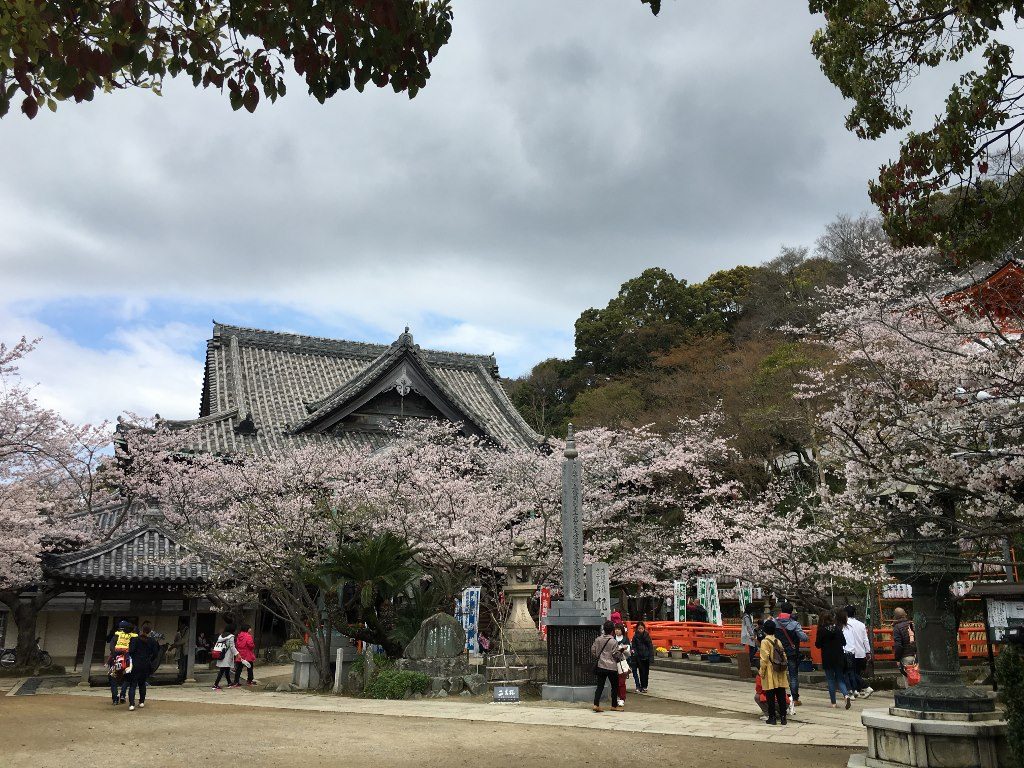 紀三井寺 (36)