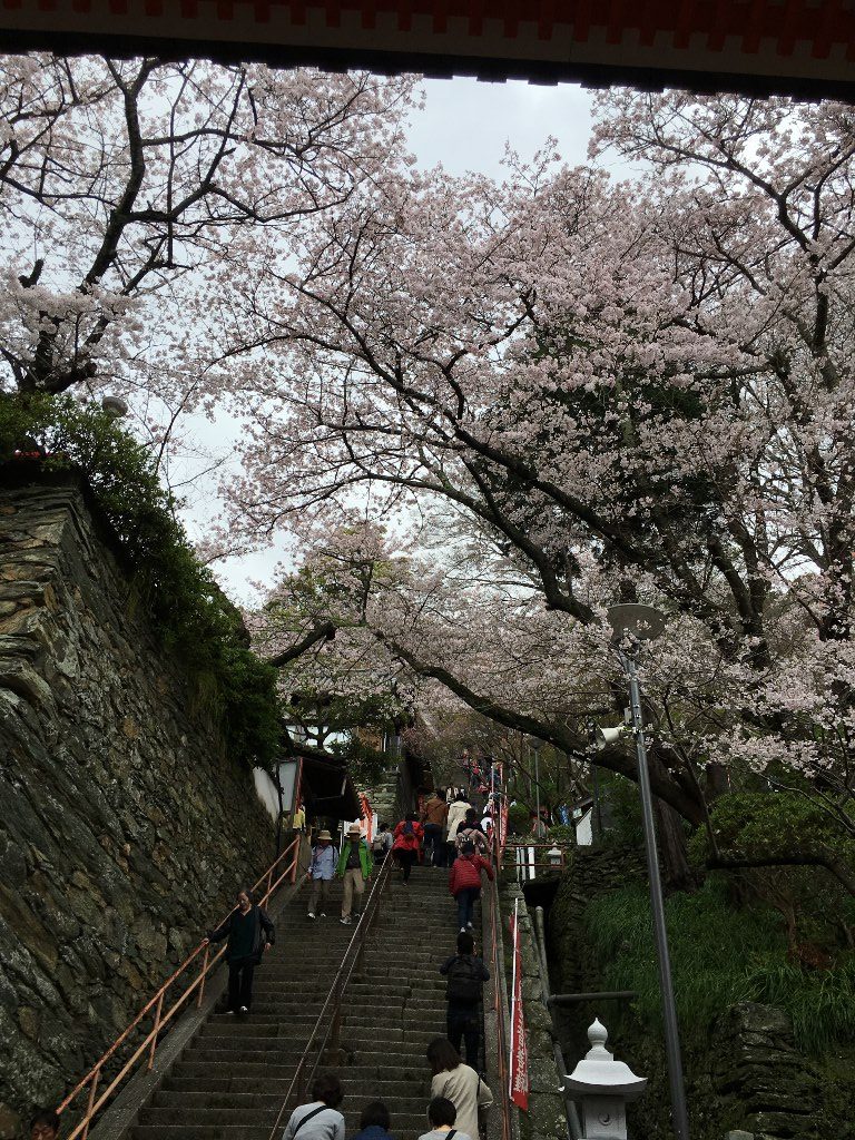 紀三井寺 (8)