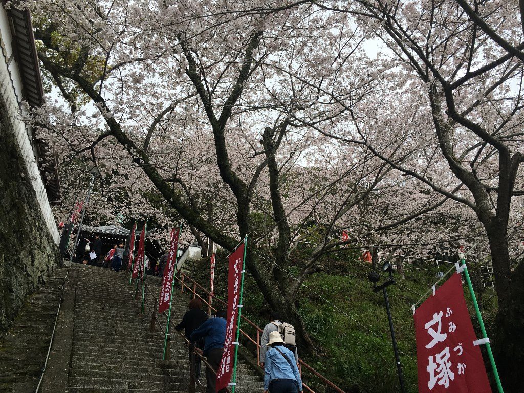 紀三井寺 (18)