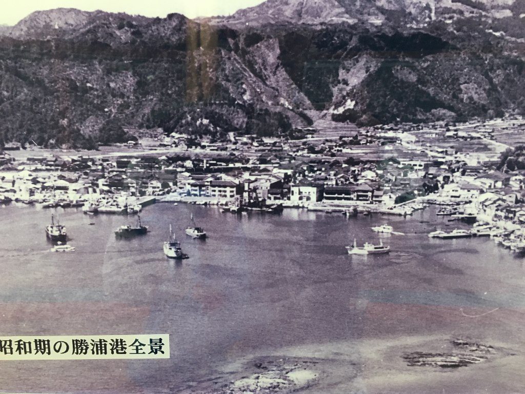 ホテル浦島 (96)