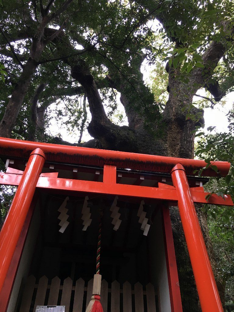 紀州東照宮 (58)
