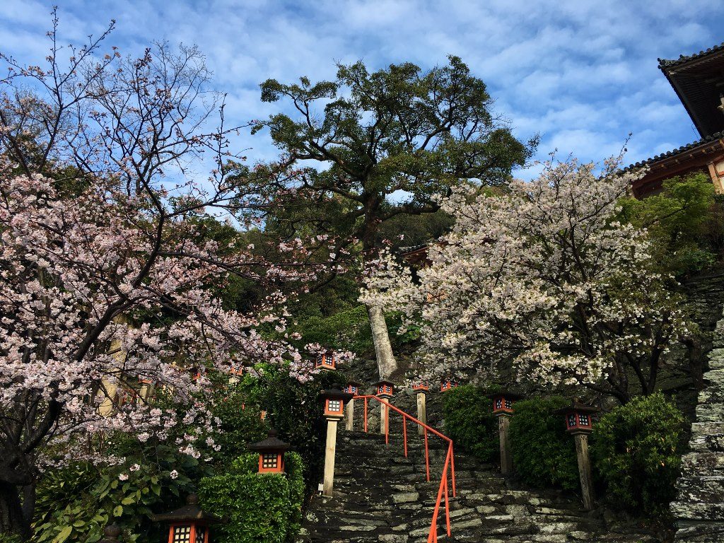 和歌浦天満宮 (7)
