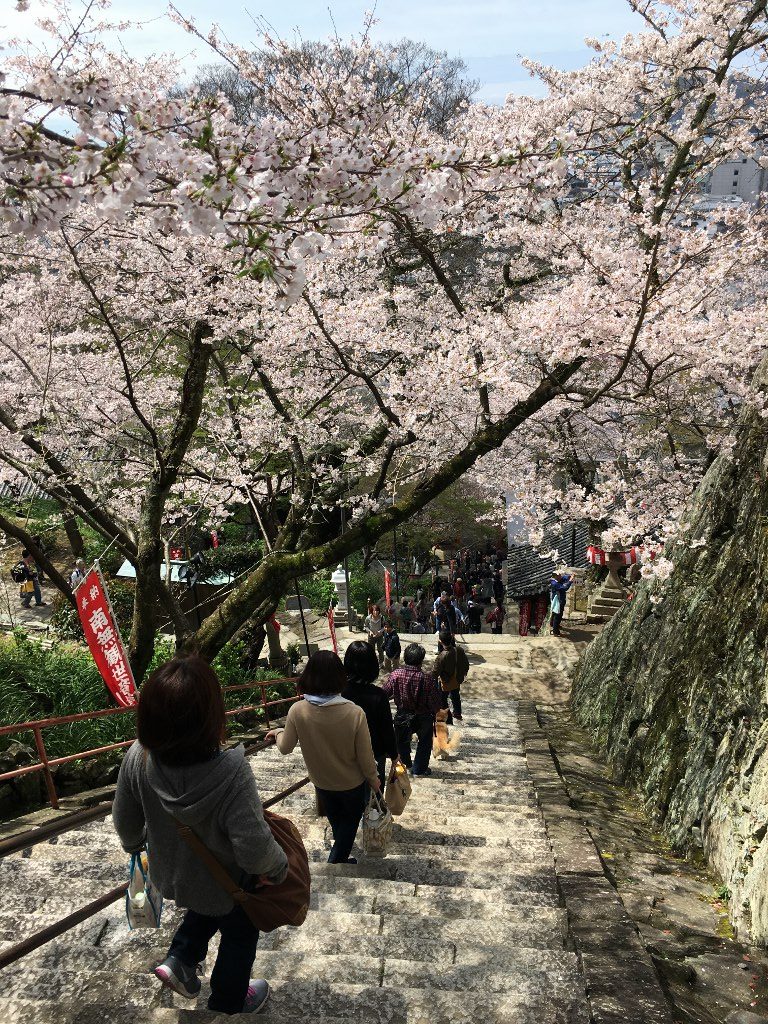 紀三井寺 (63)