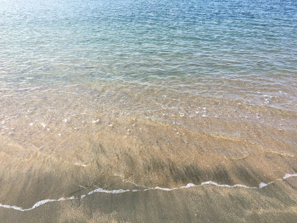 片男波海水浴場と和歌公園 (13)