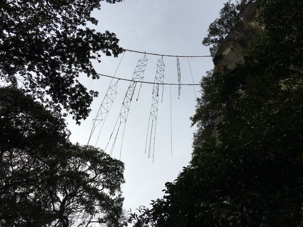 花窟神社 (37)