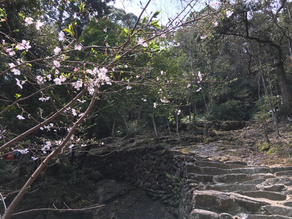 天磐盾 神倉神社 (52) (1024x768)