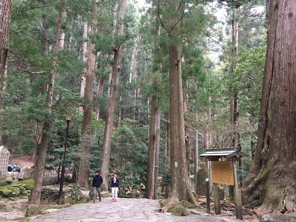 那智の大滝 (91) (1024x768)