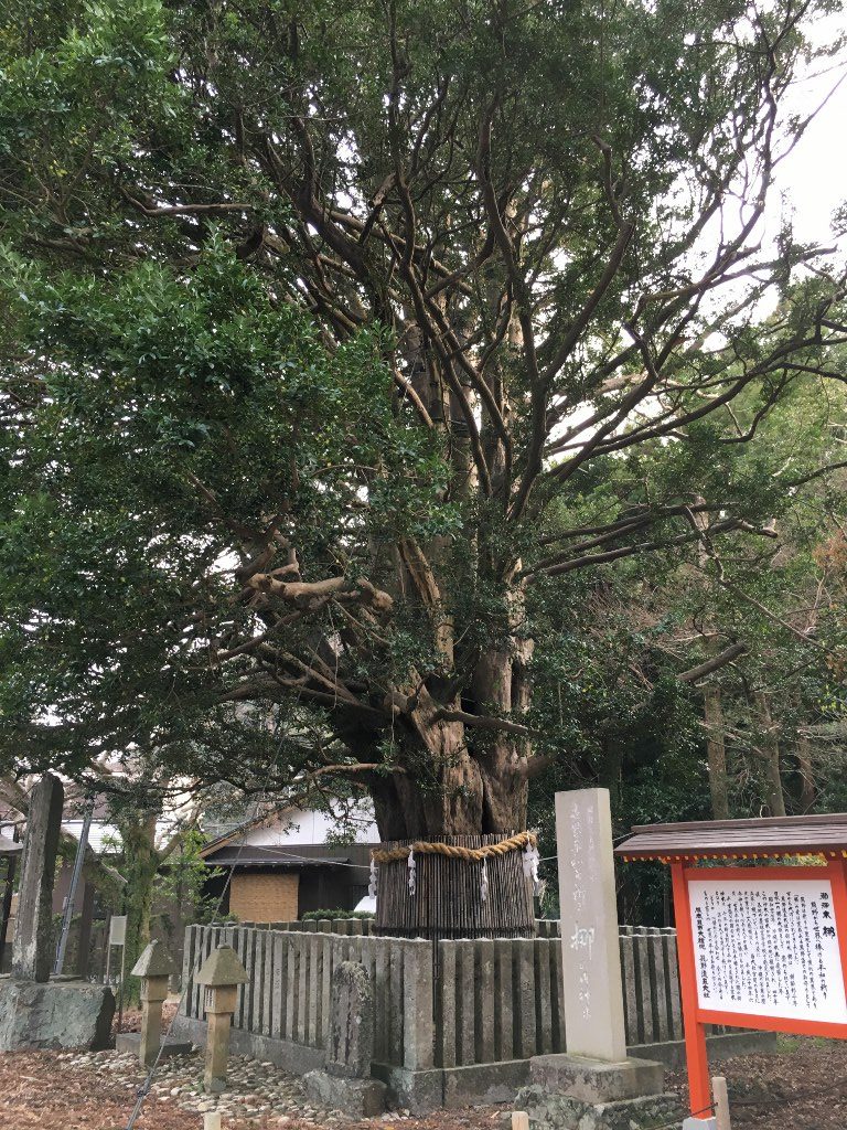 熊野速玉神社 (19)