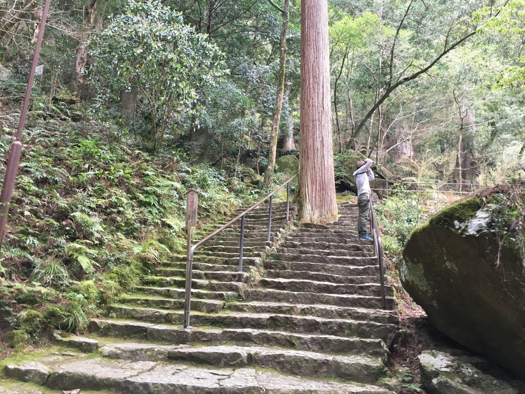那智の大滝 (38) (1024x768)