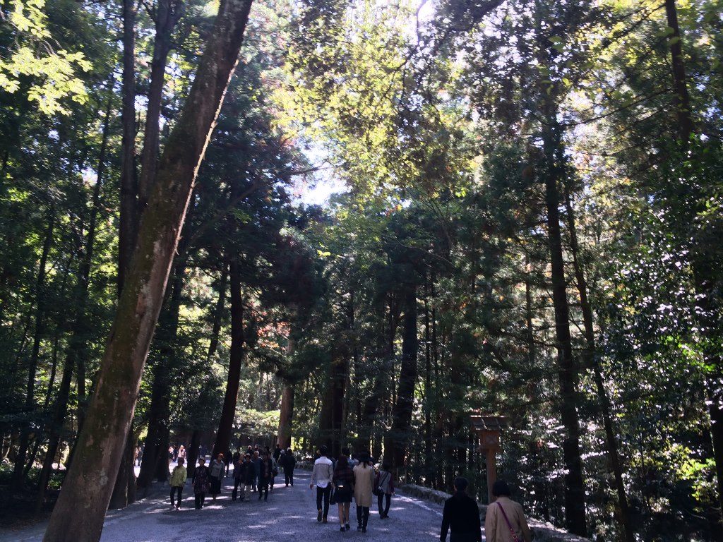 伊勢神宮12