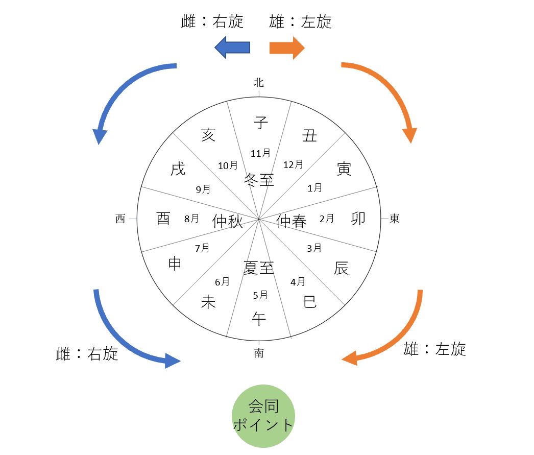 伊弉諾尊伊弉冉尊の左旋右旋